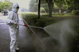 Chikungunya : le Haut conseil de santé publique défend le malathion