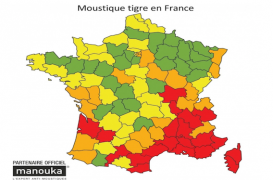 Le moustique tigre menace 20 départements 