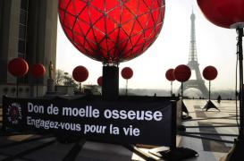 Don de moelle osseuse : un registre de 25 millions de volontaires