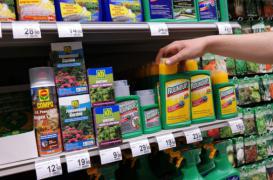 Glyphosate : l'Europe prolonge de 18 mois sa mise sur le marché