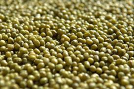 Syndrome métabolique : l'huile de soja plus nocive que l'huile de coco