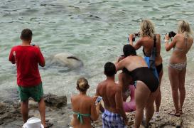 Surpoids : les vacances se paient sur la balance