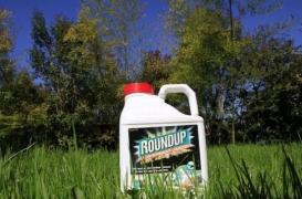 Il y aura plus de leucémies avec les 5 ans de prolongation du glyphosate