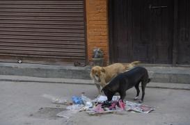 Rage : une campagne pour avoir les bons réflexes