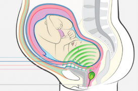 Un tampon pour partager ses goûts musicaux avec son enfant 
