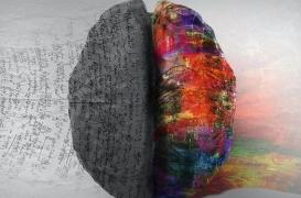 L'obésité chez les femmes enceintes peut entraîner un retard dans le QI chez les garçons