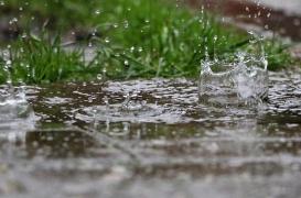Pourquoi boire de l’eau de pluie est une mauvaise idée 