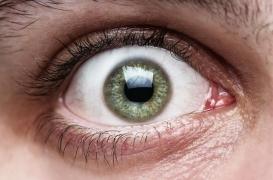 La DMLA, moins de nouveaux cas et l’espoir remplace la fatalité