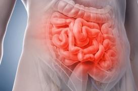Le risque de maladies inflammatoires de l'intestin augmenté par certains anti-diabétiques