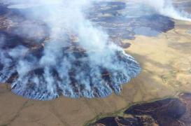 Réchauffement climatique : les enfants très exposés aux maladies