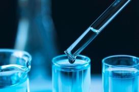 Cancer du rectum : un traitement efficace à 100 % ?