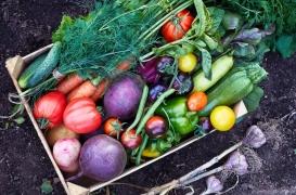 Le régime méditerranéen réduirait l’anxiété 