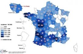 Rougeole : extension d’une épidémie qui n’aurait pas dû réapparaître en France