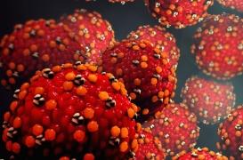 Rougeole : les politiques de vaccination actuelles seraient insuffisantes pour stopper l’épidémie