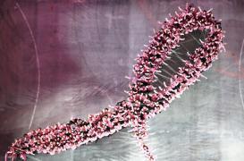 Octobre Rose : le dépistage stagne malgré la mobilisation 