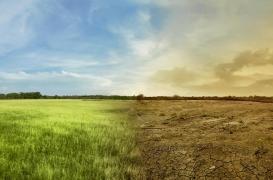 Le réchauffement climatique accélèrera la survenue des cancers