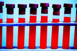 Don de sang : une campagne pour mobiliser pendant les fêtes