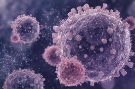 Le redémarrage d’une enzyme pourrait traiter le sarcome des tissus mous