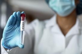 Ebola : deux traitements recommandés par l’Organisation mondiale de la santé 