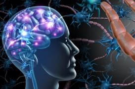 Sclérose en plaques: un traitement pour freiner la maladie et protéger le système immunitaire