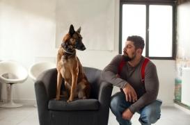 Sa chienne détecte le Covid-19 en quelques minutes : “14 pays m'ont déjà contacté”