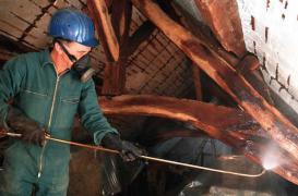 Cancers de l'enfant : les insecticides d’intérieur mis en cause 