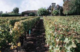 Pesticides : les politiques en retrait