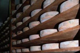 Listeria : 600 meules de morbier rappelées en Europe