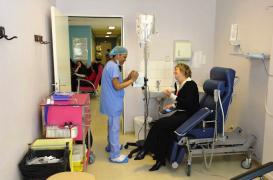 Immunothérapies : comment elles déjouent les défenses des tumeurs