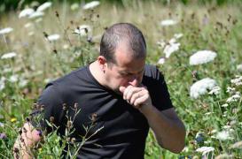 Allergies : les graminées envahissent la France