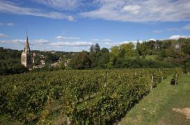 Pesticides : la fille d'un viticulteur du Bordelais porte plainte contre X