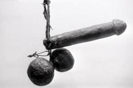 Pénis : la taille idéale selon les femmes 