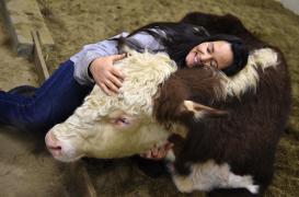 Allergies : vivre à la ferme réduirait les problèmes respiratoires 