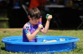 Perturbateurs endocriniens : certains substituts inquiètent