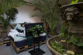 Gueule de bois : un bar pour les lendemains arrosés 