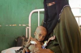 Famine : un youtubeur lève près de 2 millions d'euros pour la Somalie