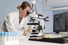 Cancer colorectal : le test immunologique pour améliorer le dépistage
