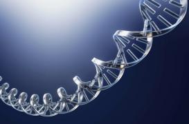 Cancer du sein, Alzheimer : les bien-portants veulent connaître leur prédisposition génétique