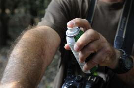 Moustiques : le palmarès 2014 des départements les plus touchés 