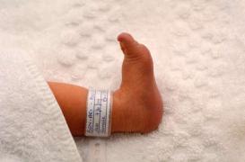 PMA : les Français sont mal informés