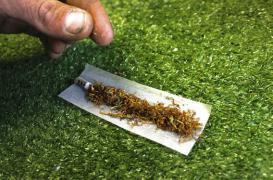 Cannabis :  le Pr Bertrand Dautzenberg prône la légalisation