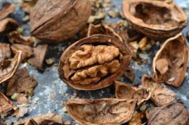 Manger des noix réduit le risque de mortalité prématurée