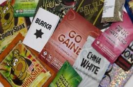 Drogues de synthèse : les substances des futures générations