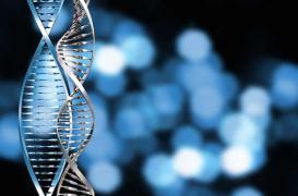 Médecine personnalisée: des cancers en moins, des économies en plus