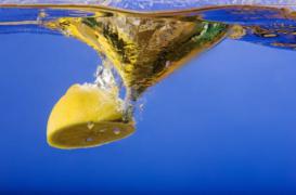 Consommer trop d'agrumes favoriserait l'apparition du mélanome