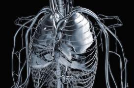 Cancer du poumon : les non-fumeurs de plus en plus victimes