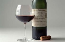 Cancer du foie : dépister tôt pour guérir