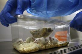 Manger la nuit peut altérer notre mémoire