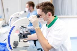 Reproduction : la qualité du sperme est en baisse constante