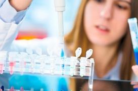 Cancer : l’immunothérapie a des effets positifs durables pour 25% des patients 